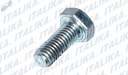 TORNILLO M8X10