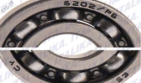 BALERO RADIAL BOLAS 6202 RS