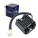 REGULADOR/RECTIFICADOR