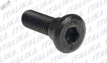 TORNILLO DISCO DE FRENO M8 X25