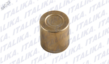 PISTON CALIPER TRAS