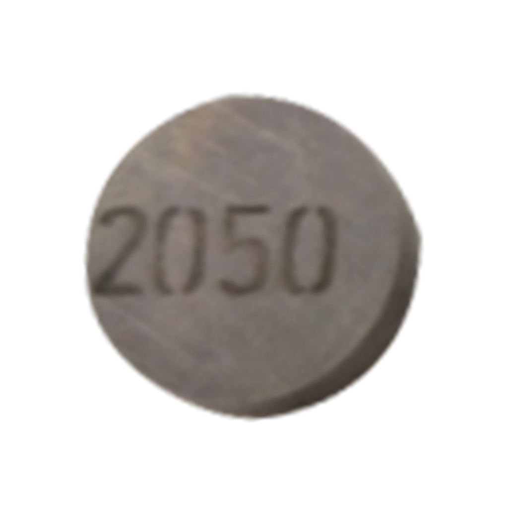 CALZA AJUSTE VALVULA 2050