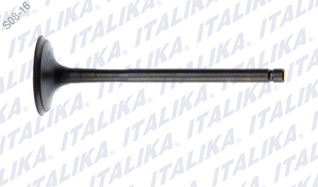 VALVULA ADMISION 5X81.5X27.8