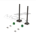 JUEGO VALVULAS MOTOR