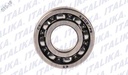 BALERO RADIAL BOLAS 6202 RS