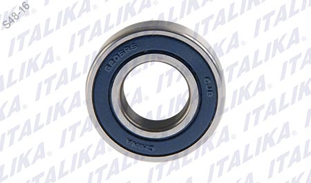 BALERO BOLA RADIAL 6205-RS