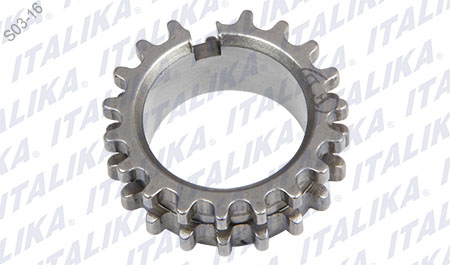 PIÑON CADENA TIEMPO