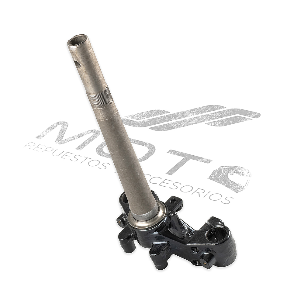 TELESCOPIO DIRECCION