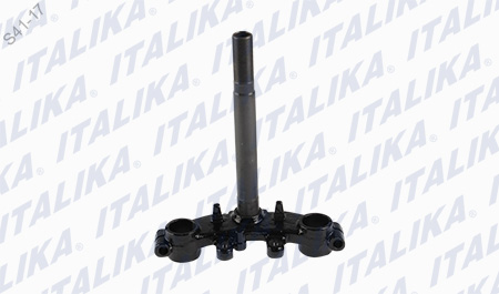 TELESCOPIO DIRECCION