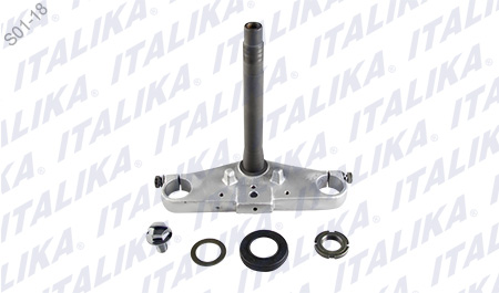 TELESCOPIO DIRECCION