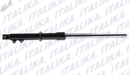 AMORTIGUADOR DEL DER NEGRO