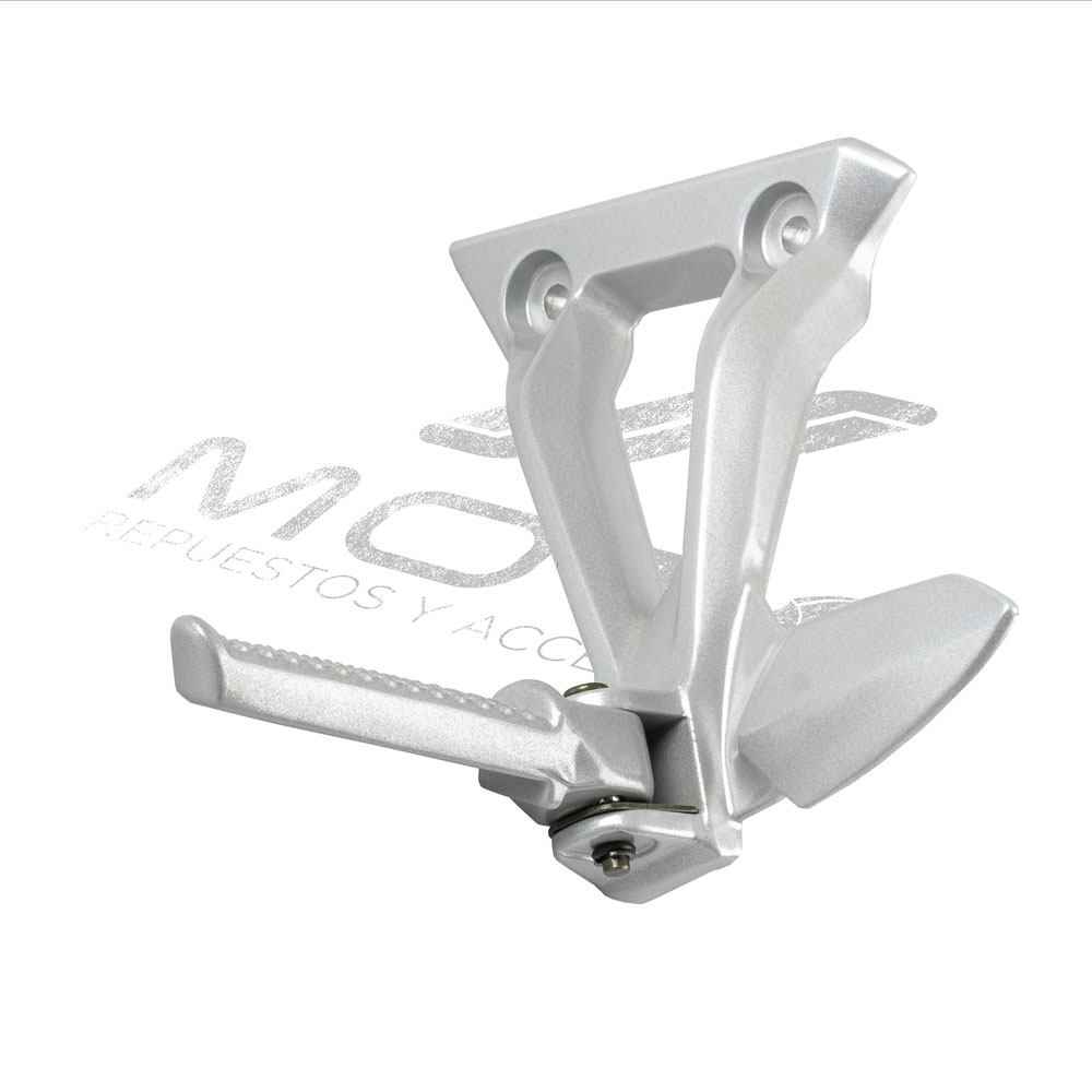 CONJUNTO POSAPIE TRAS IZQ