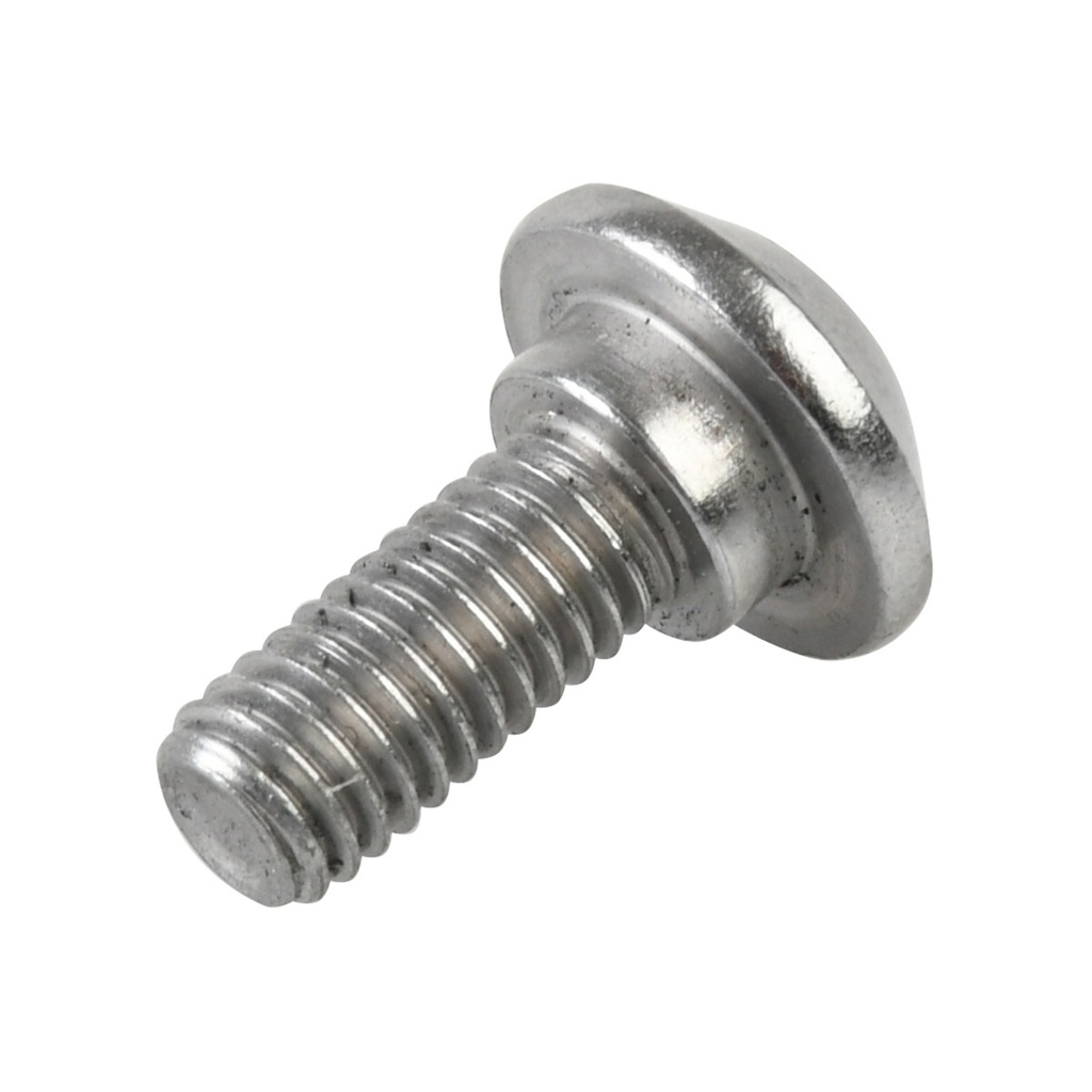 TORNILLO ESPECIAL M6