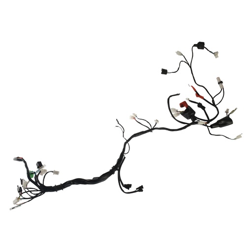 [F06050283] ARNES PRINCIPAL