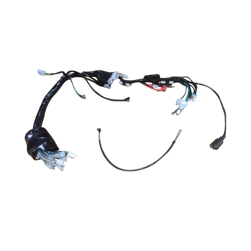 [F06050288] ARNES PRINCIPAL GPS