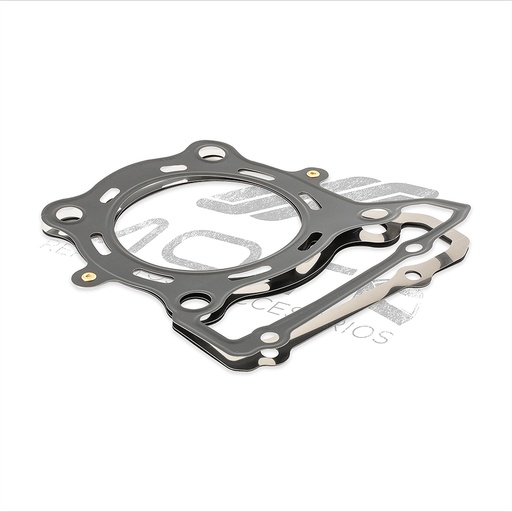 [E03020055] EMPAQUE CABEZA CILINDRO