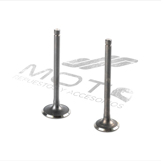 [E04050116] JUEGO VALVULAS MOTOR