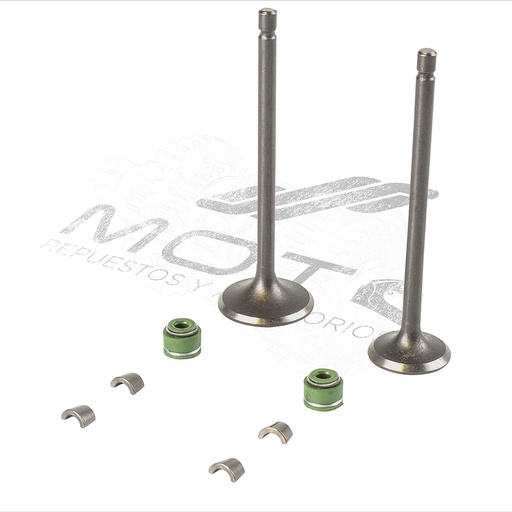 [E0405KV02] KIT VALVULAS MOTOR