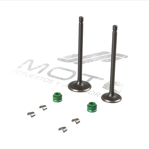 [E0405KV03] JUEGO VALVULAS MOTOR