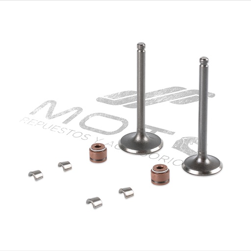 [E0405KV04] JUEGO VALVULAS MOTOR