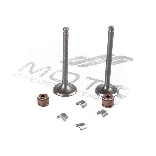 [E0405KV06] KIT VALVULAS MOTOR