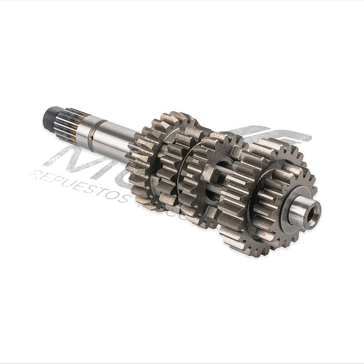 [E06020109] CONJUNTO PRIMARIO TRANSMISION