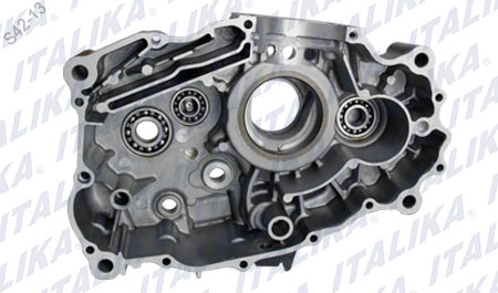 [E07010083] COMPONENTE DE CARTER IZQUIERDO