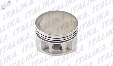 [E08010187] PISTON
