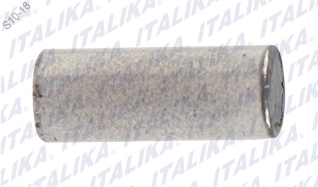 [E14030043] PIN 4X10