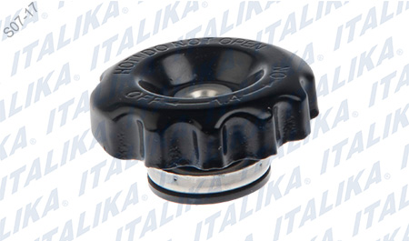 [E15010031] TAPON RADIADOR