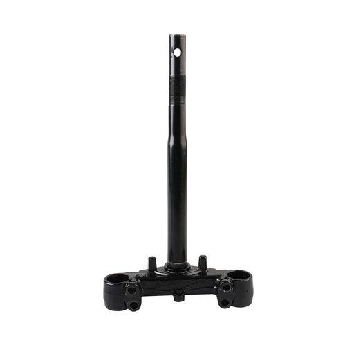 [F01010106] TELESCOPIO DIRECCION