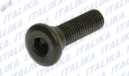 [F03020062] TORNILLO PLANO M8×30 ALLEN