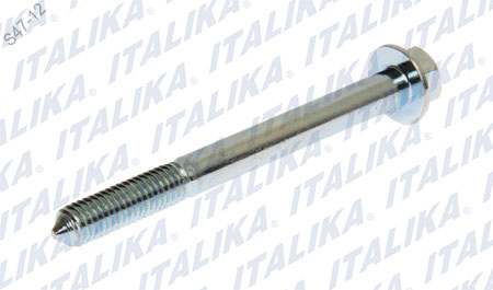 [F03020075] TORNILLO PARRILLA