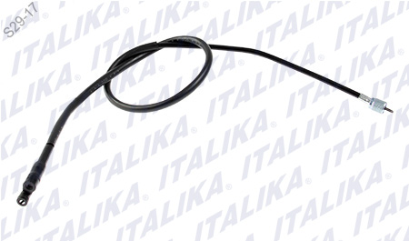 [F04030276] CHICOTE VELOCIMETRO