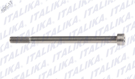 [F05030027] EJE SOPORTE MOTOR M10X145