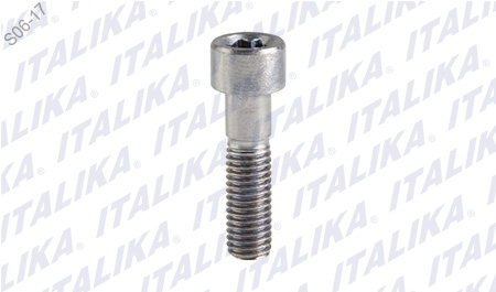 [F05030030] EJE SOPORTE MOTOR M10X37