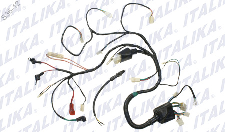 [F06050007] ARNES ELECTRICO