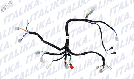 [F06050019] ARNES SECUNDARIO