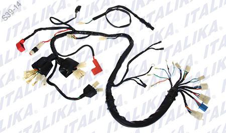 [F06050038] ARNES PRINCIPAL