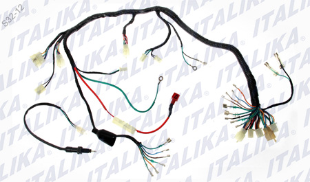 [F06050053] ARNES PRINCIPAL