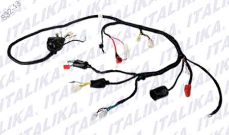 [F06050061] ARNES PRINCIPAL