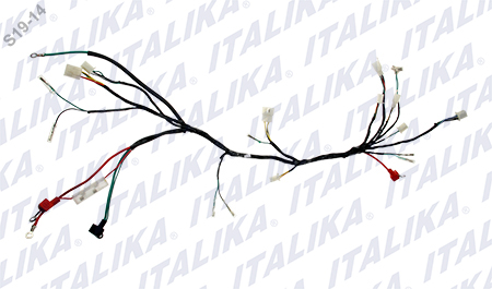 [F06050075] ARNES PRINCIPAL