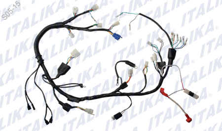 [F06050080] ARNES PRINCIPAL