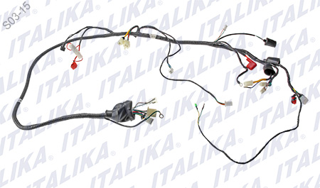 [F06050085] ARNES PRINCIPAL