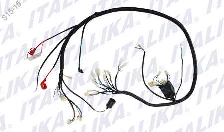 [F06050094] ARNES PRINCIPAL