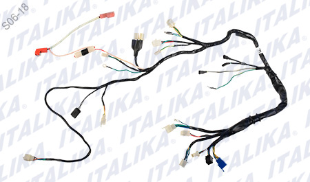 [F06050103] ARNES PRINCIPAL