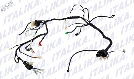 [F06050118] ARNÉS PRINCIPAL