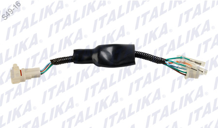 [F06050131] ARNES SUPLEMENTARIO