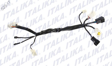 [F06050144] ARNES SUPLEMENTARIO