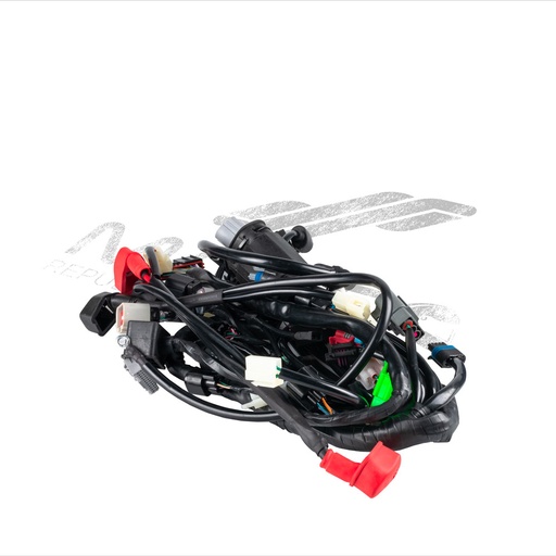 [F06050162] ARNES PRINCIPAL